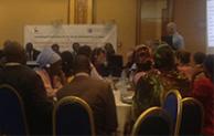 Representatives from eight “pathfinder” countries present highlights from their country plans in Dakar.