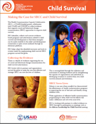 Making the Case for Health Communication and Child Survival fact sheet